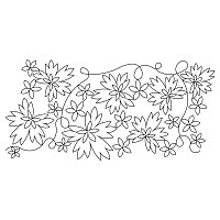scattered dianthus e2e 002